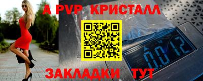 крисы Кингисепп