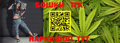 крисы Кингисепп