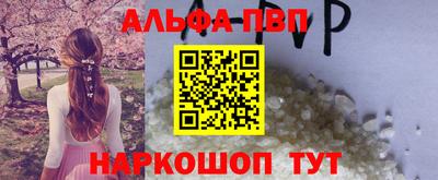крисы Кингисепп