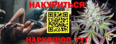крисы Кингисепп