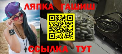 крисы Кингисепп