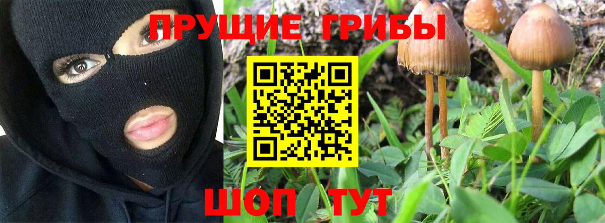 Губаха  Псилоцибиновые грибы MAGIC MUSHROOMS  Галлюциногенные грибы Psilocybe  Вход с VPN 